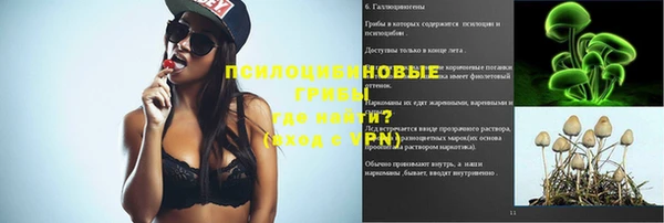 a pvp Костерёво